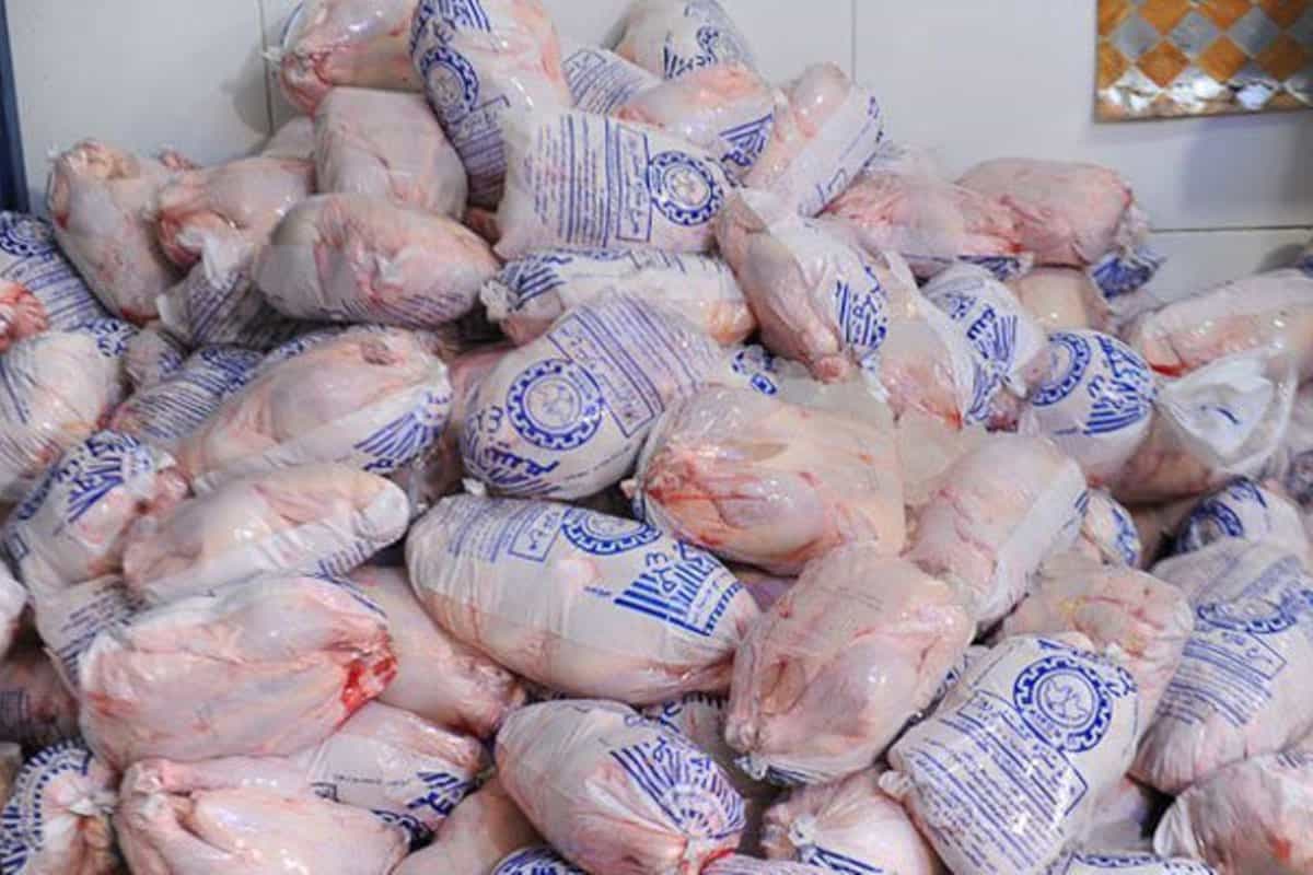 آغاز توزیع مرغ منجمد با قیمت مصوب