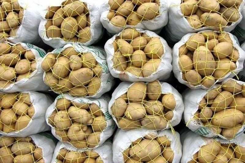صادرات سیب‌زمینی به آذربایجان ضعیف است