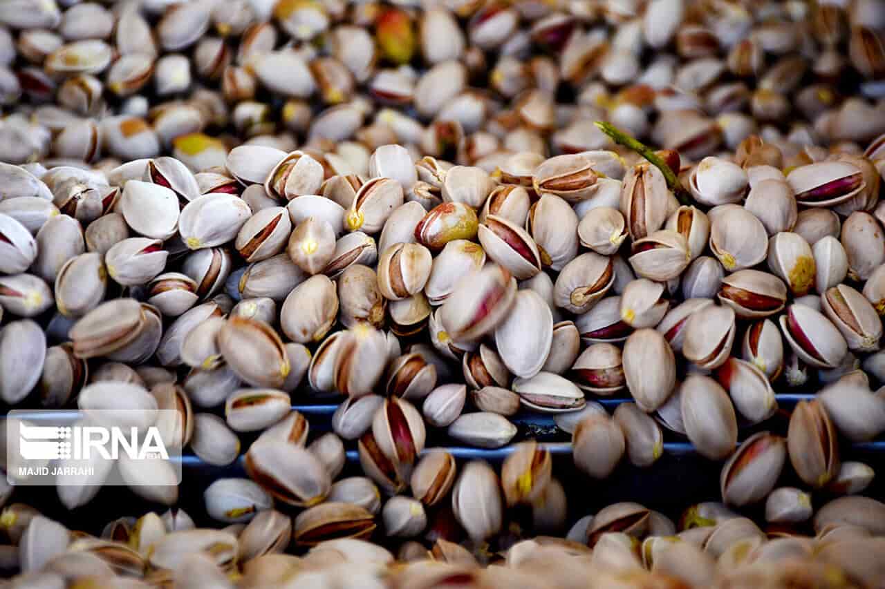 Iran 2nd largest pistachio exporter to EU, China after US