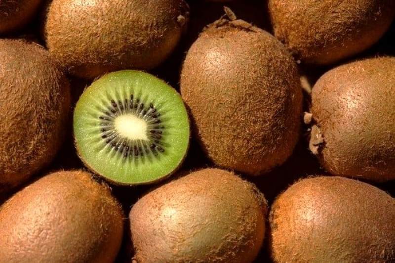 The ban on Kiwi was lifted: 