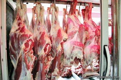 کاهش ۲۳ درصدی تولید گوشت قرمز در سال گذشته/ ٨١هزار تن دام در زمستان ۹۷ ذبح شد